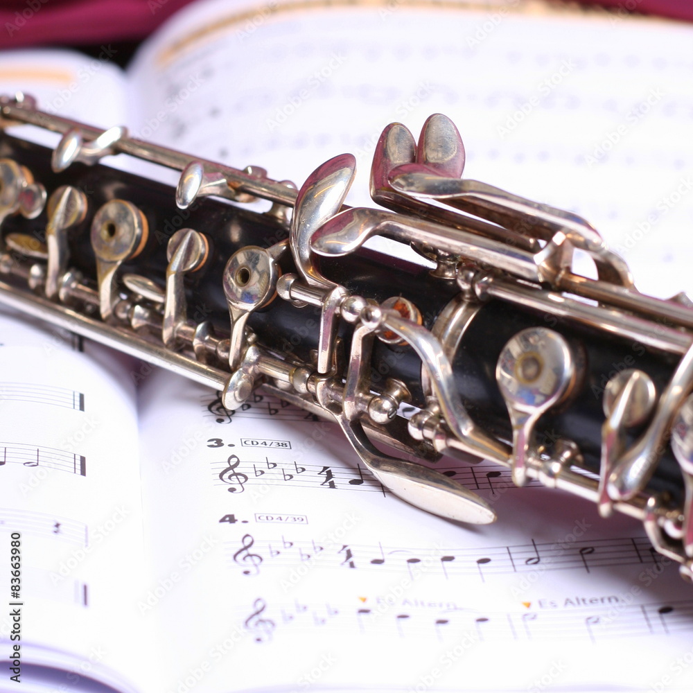 Obraz premium Oboe auf Noten