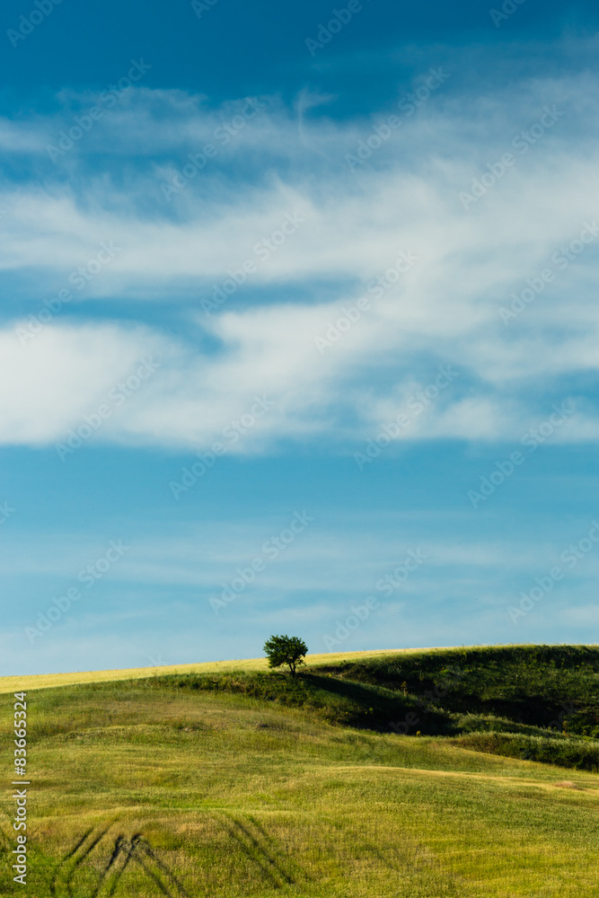 Fototapeta premium murgia matera puglia
