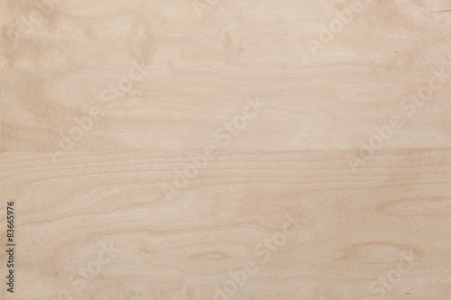 Birch wood texture © lphotovideo
