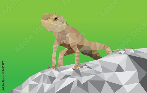 lizard low polygon vector