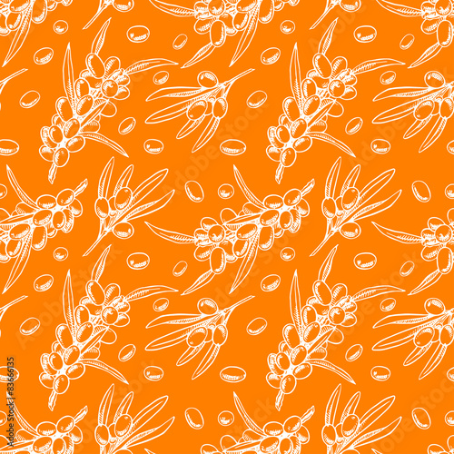 seamless sketch sea buckthorn