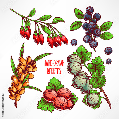 set with different berries