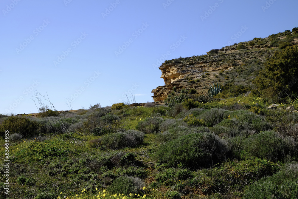 Felsküste am Atlantik zwischen Burgau und Luz, Algarve, Portuga Felsküste am Atlantik zwischen Burgau und Luz, Algarve, Portuga