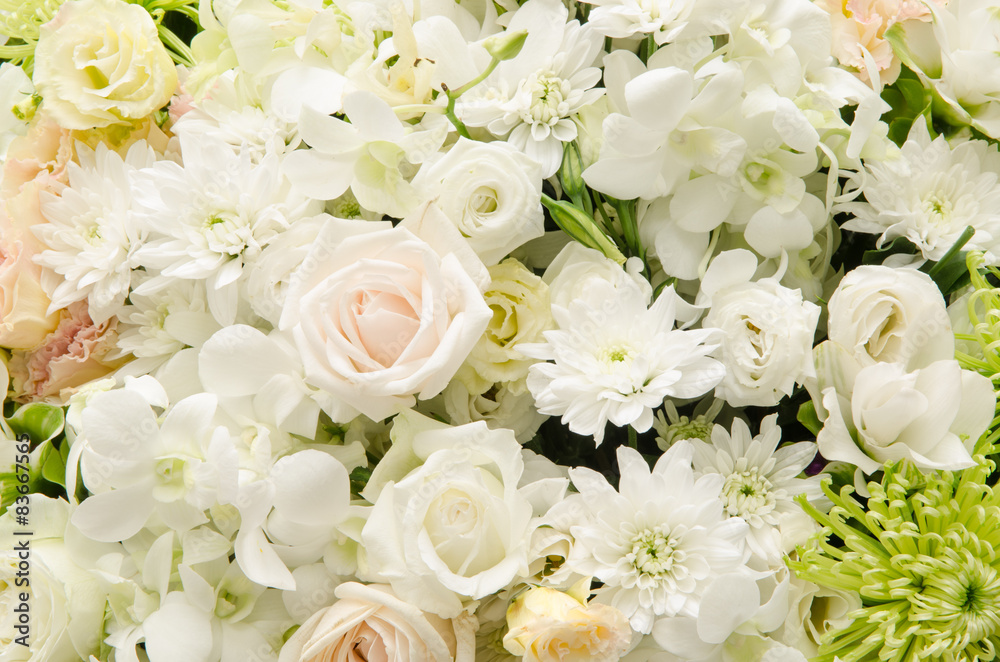 Beautiful flowers background Beautiful flowers background