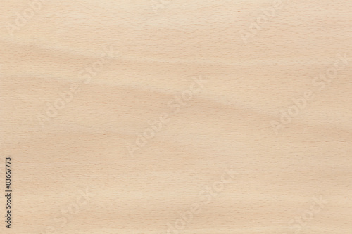 European Beech texture wood