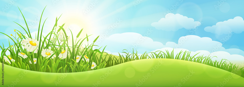 Obraz premium Green summer landscape with grass, flowers, hills and sun