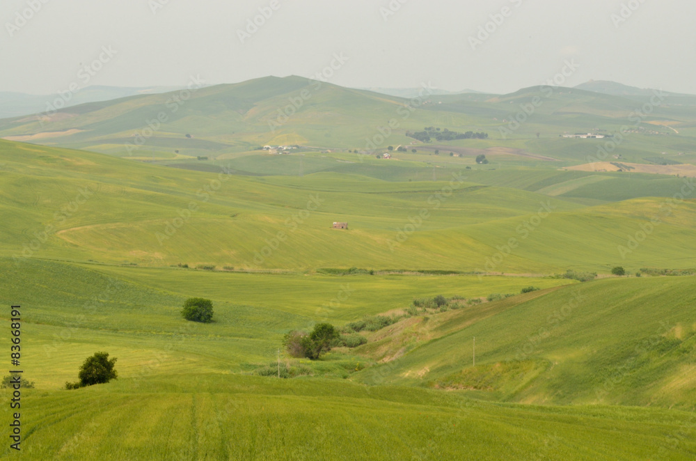 Italian countryside summer