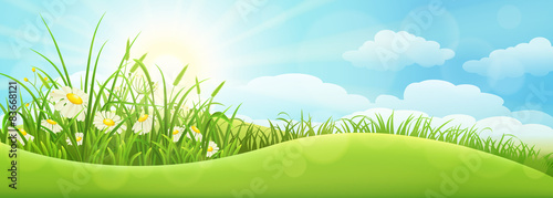 Green summer landscape with grass, flowers, hills and sun