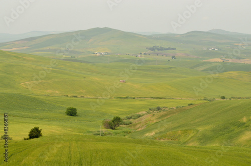 Italian countryside summer © mark_110