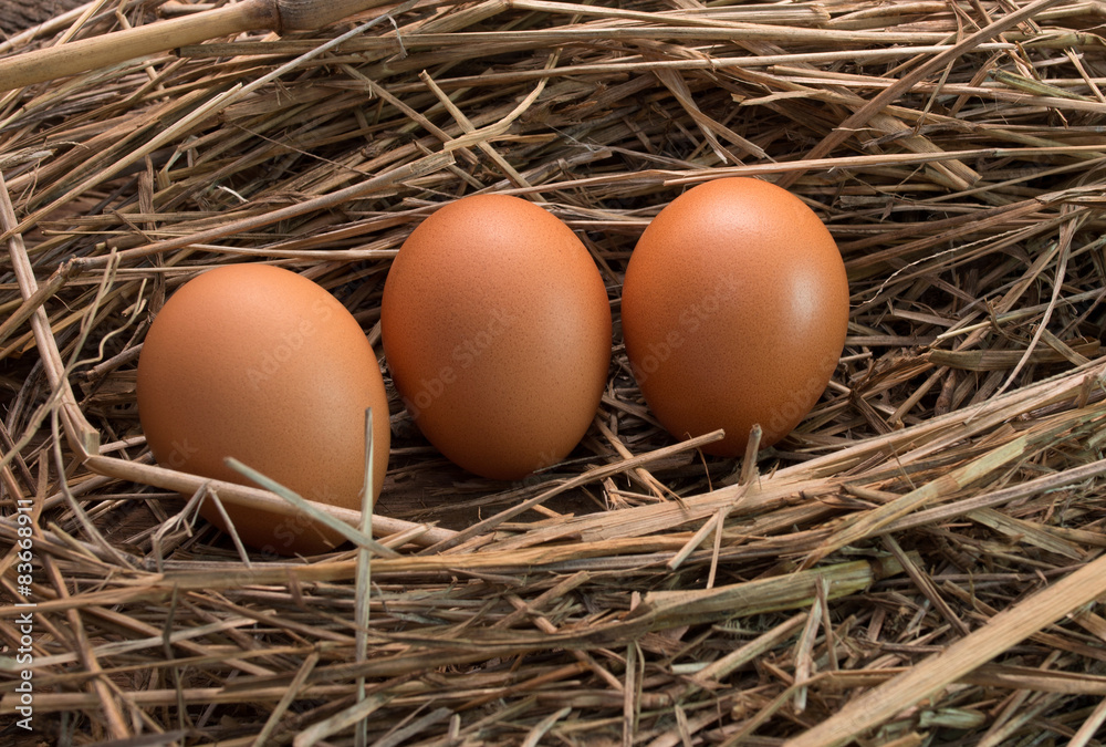 Eggs Eggs
