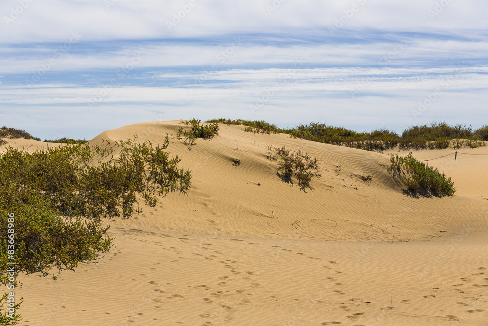 Maspalomas Duna - Desert in Canary island Gran Canaria Maspalomas Duna - Desert in Canary island Gran Canaria