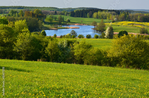 Colorful spring landscape with lake