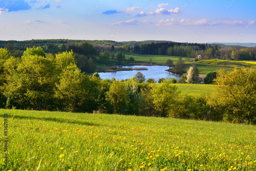 Obraz premium Colorful spring landscape with lake