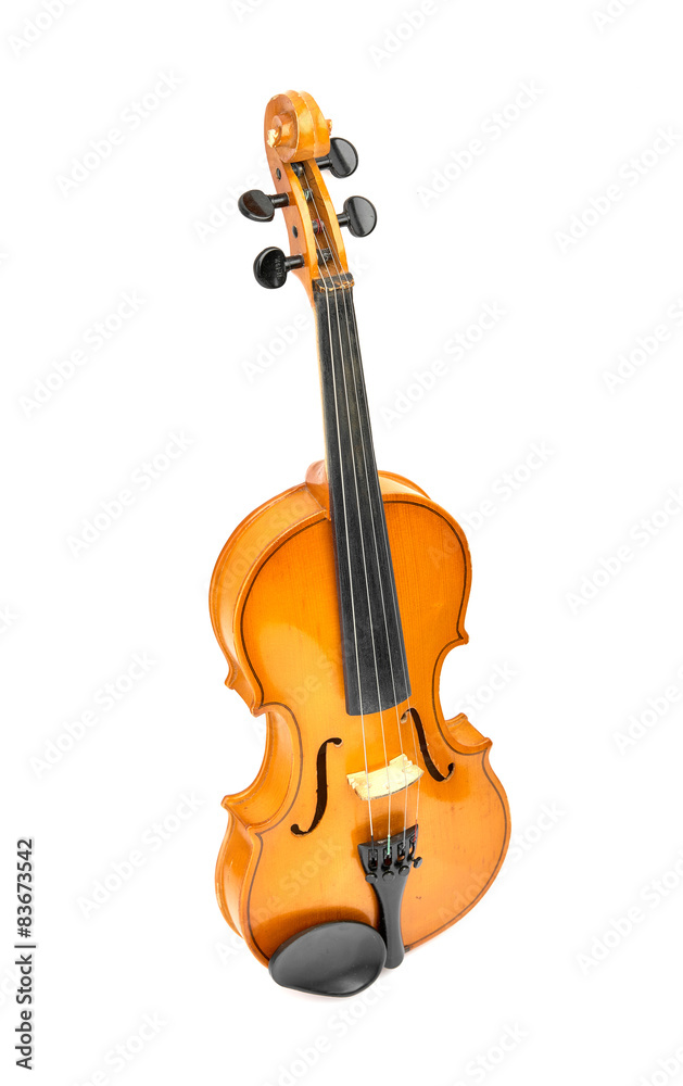 Fototapeta premium violin on white background