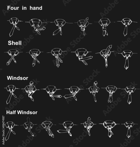 Vector tie and knot instruction