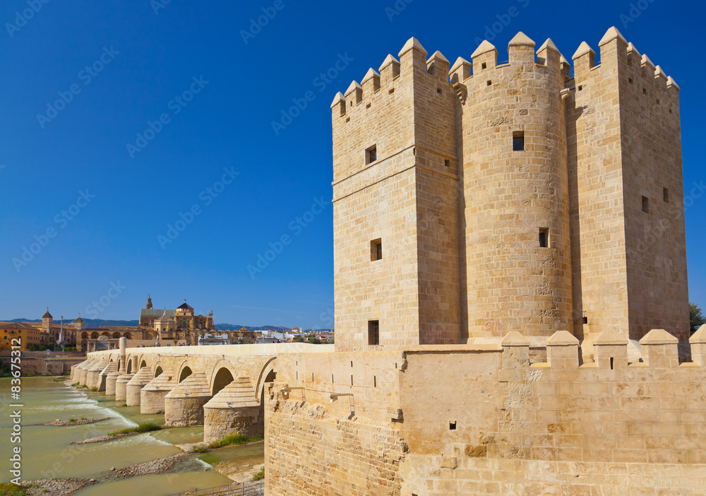 Bridge at Cordoba Spain