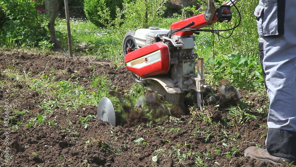horticulture potager