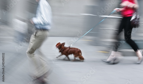 walking the dog on the street