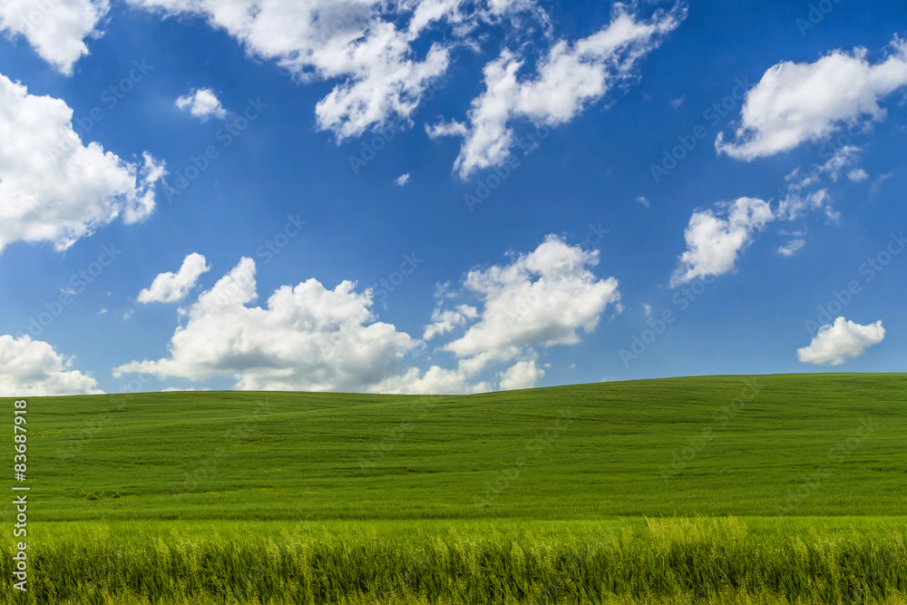Landscape with a grass on hill and blue sky with clouds. Landscape with a grass on hill and blue sky with clouds.