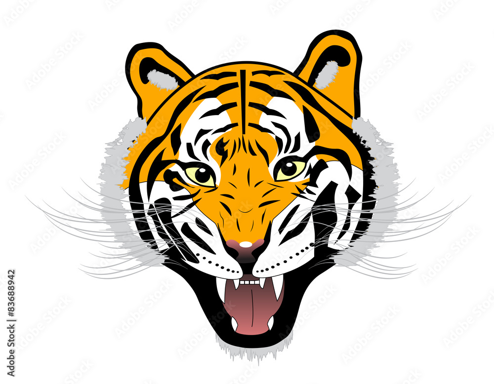 Tiger anger head on a white background