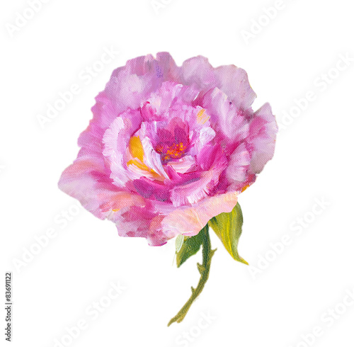 Rose isolated on white, oil painting
