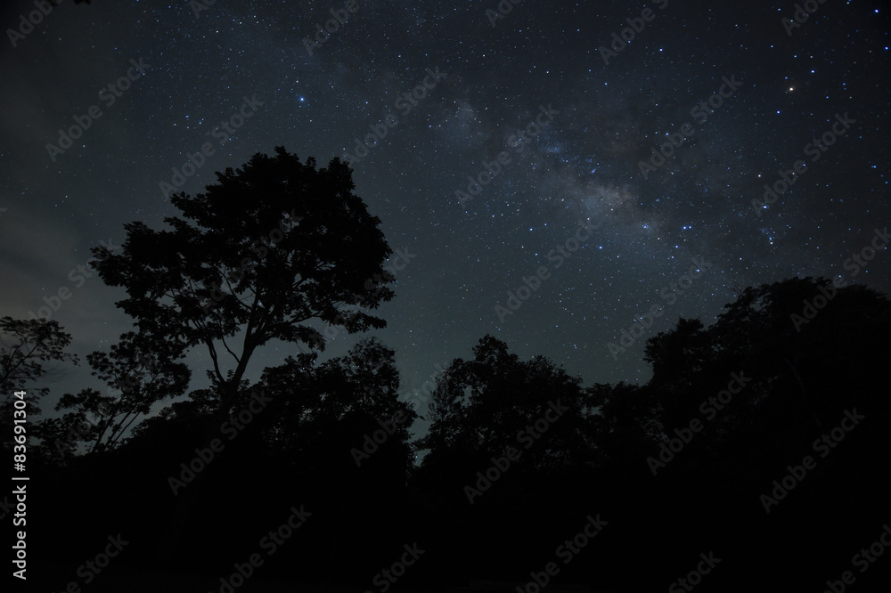 Night sky with the Milky Way over the forest and trees
Night sky with the Milky Way over the forest and trees