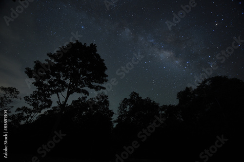 Night sky with the Milky Way over the forest and trees   © nimon_t
