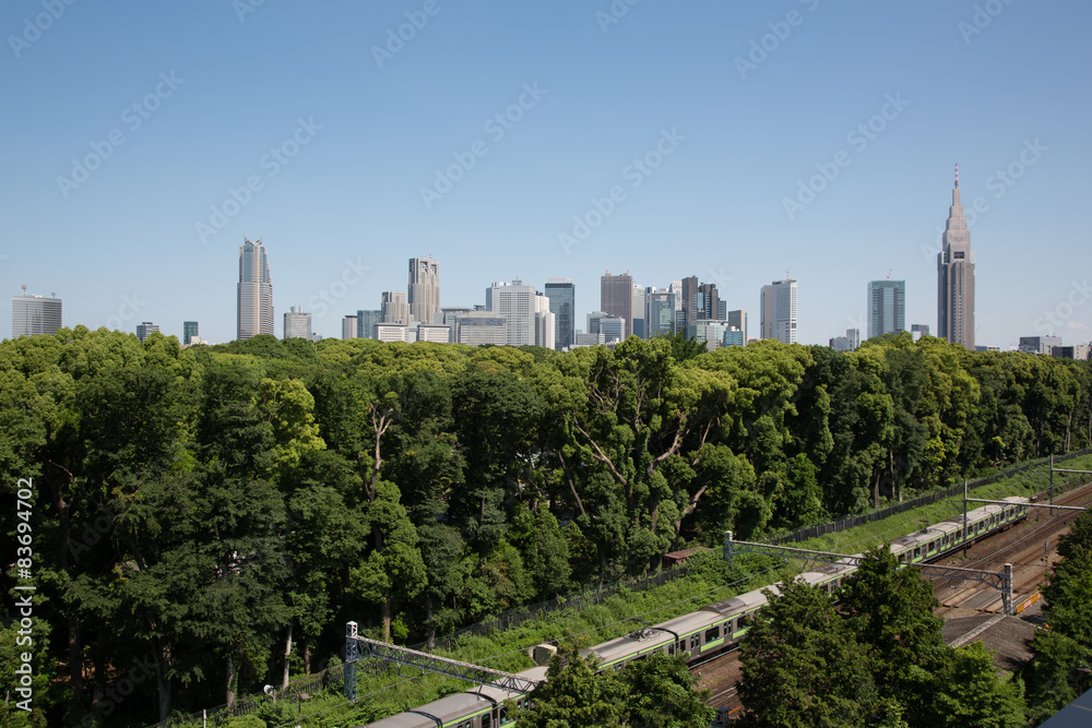 Fototapeta premium 原宿から新宿方面の景色