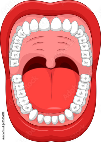 Parts of Human mouth. Open mouth and white healthy tooth