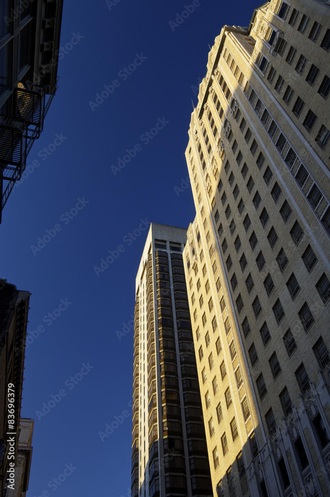 Obraz premium skyscraper