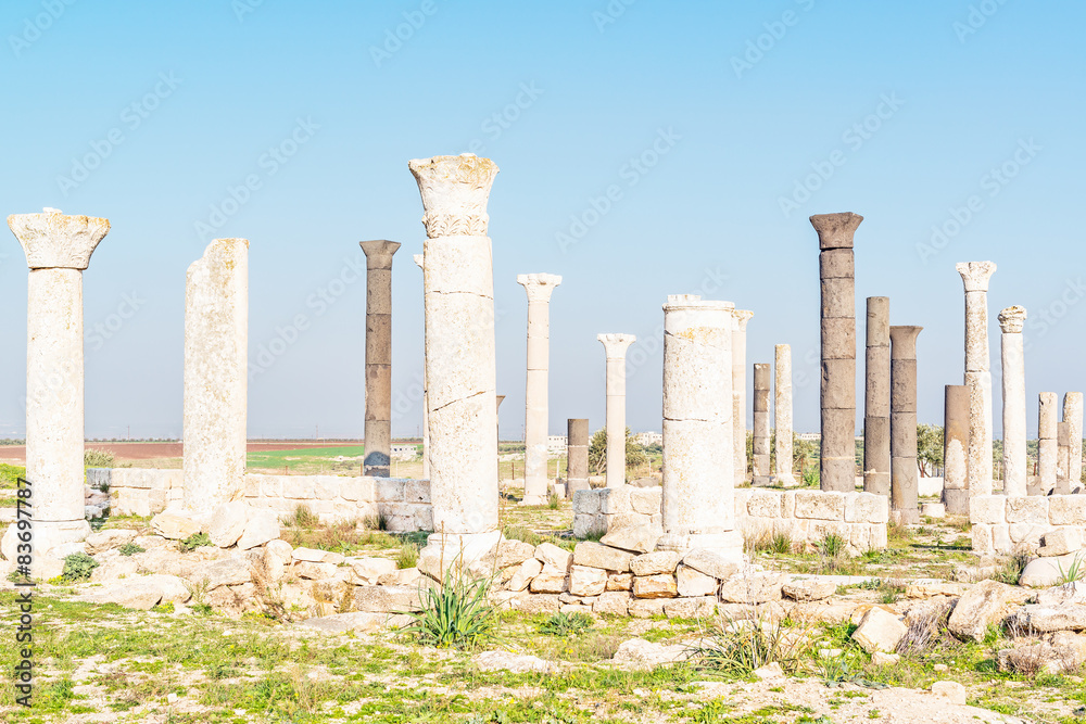 Columns of Raphana in present-day north of Jordan. 