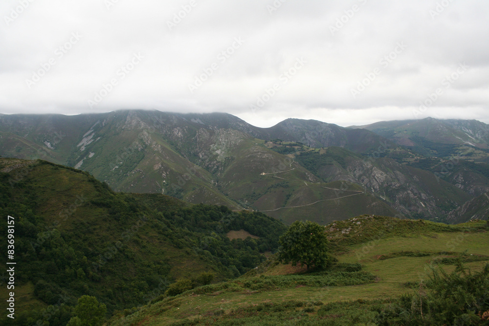 Paisaje Montañoso Asturiano