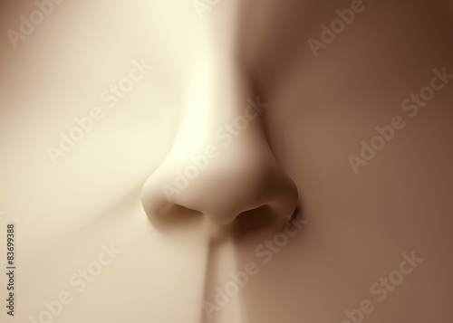 Human nose