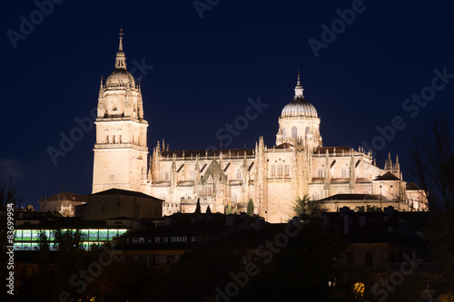  Cathedral of Salamanca in midnight