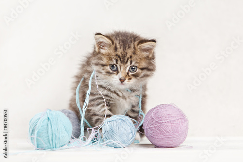 pretty kitten playing with yarn ball photo