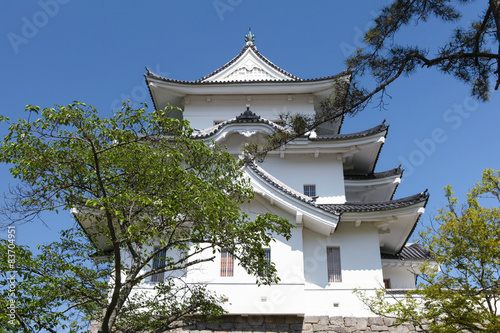 The original Ninja castle of Iga Ueno photo