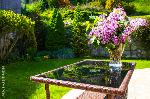 lilacs bunch on garden