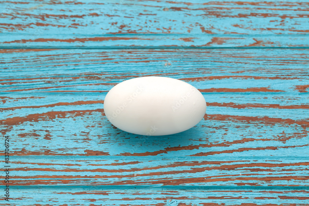 Naklejka premium crocodile alligator egg still life