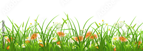 Seamless green grass with flowers on white background