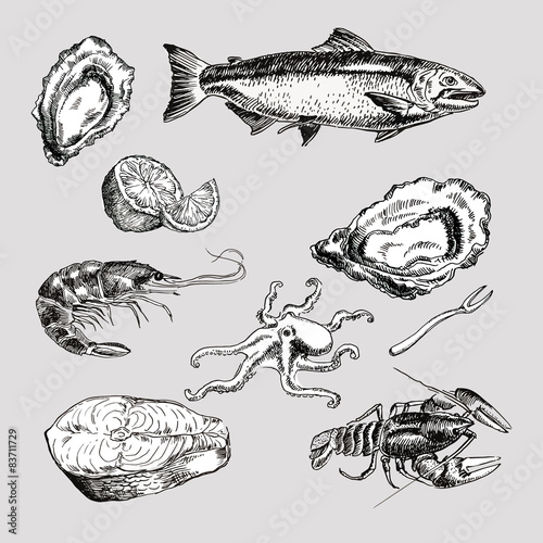 sea food vintage graphic illustration