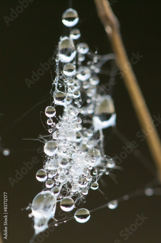 Magisches Netz
