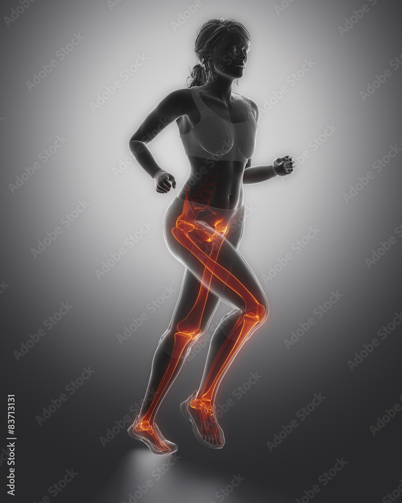 Jogging woman legs anatomy