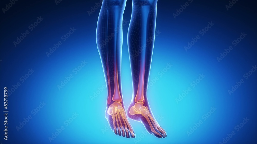 ANKLE joint skeleton x-ray scan in blue ANKLE joint skeleton x-ray scan in blue