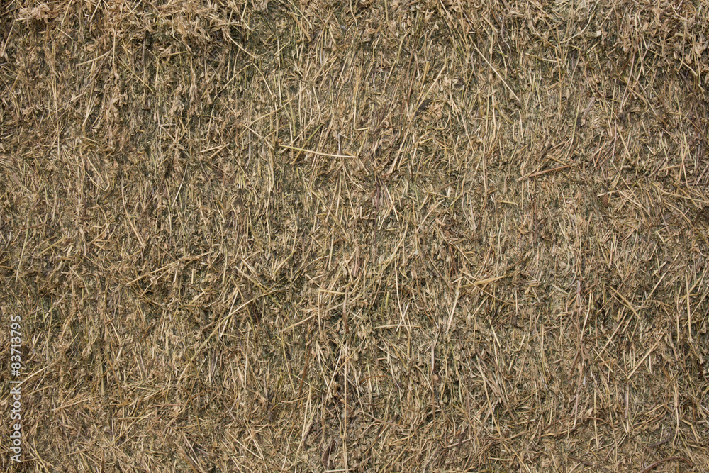Texture hay closeup in color. Texture hay closeup in color.