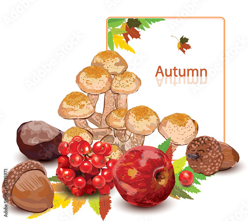 Autumn, Осень. 