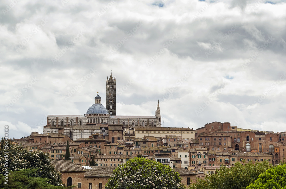 view of Siena, Italy