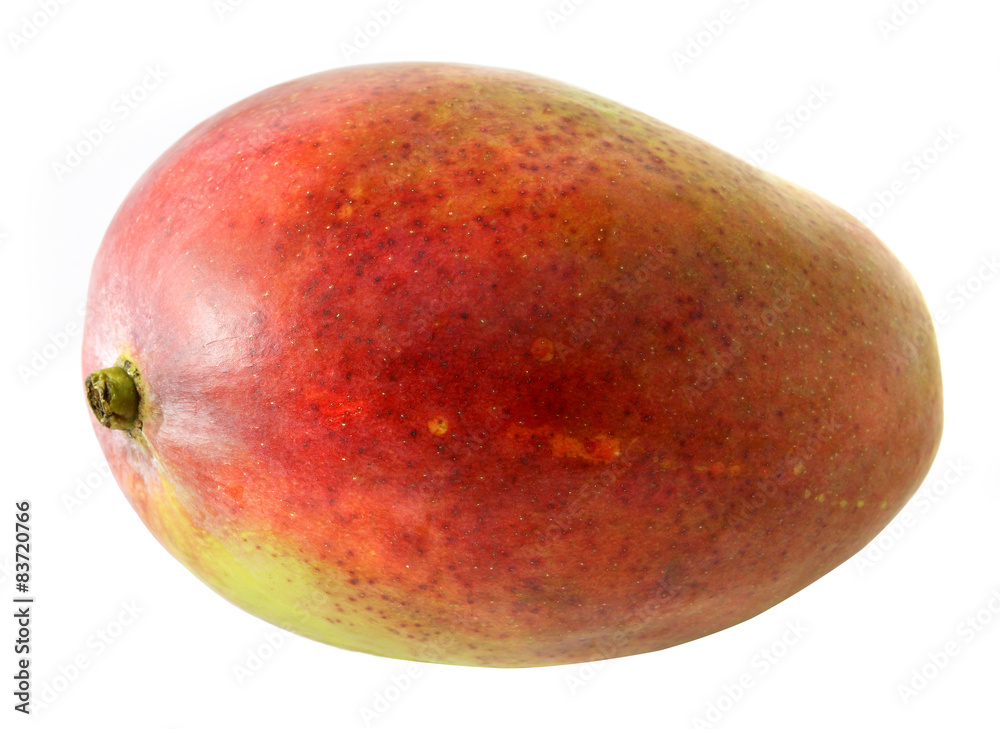 Large mango fruit on white background Large mango fruit on white background