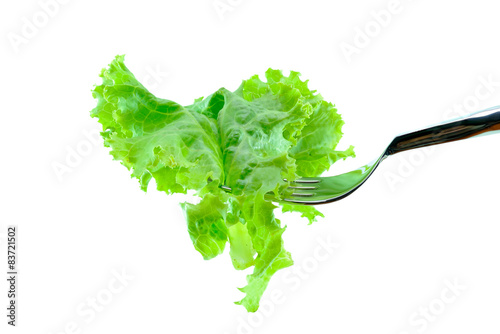 lettuce with vegetarian concept