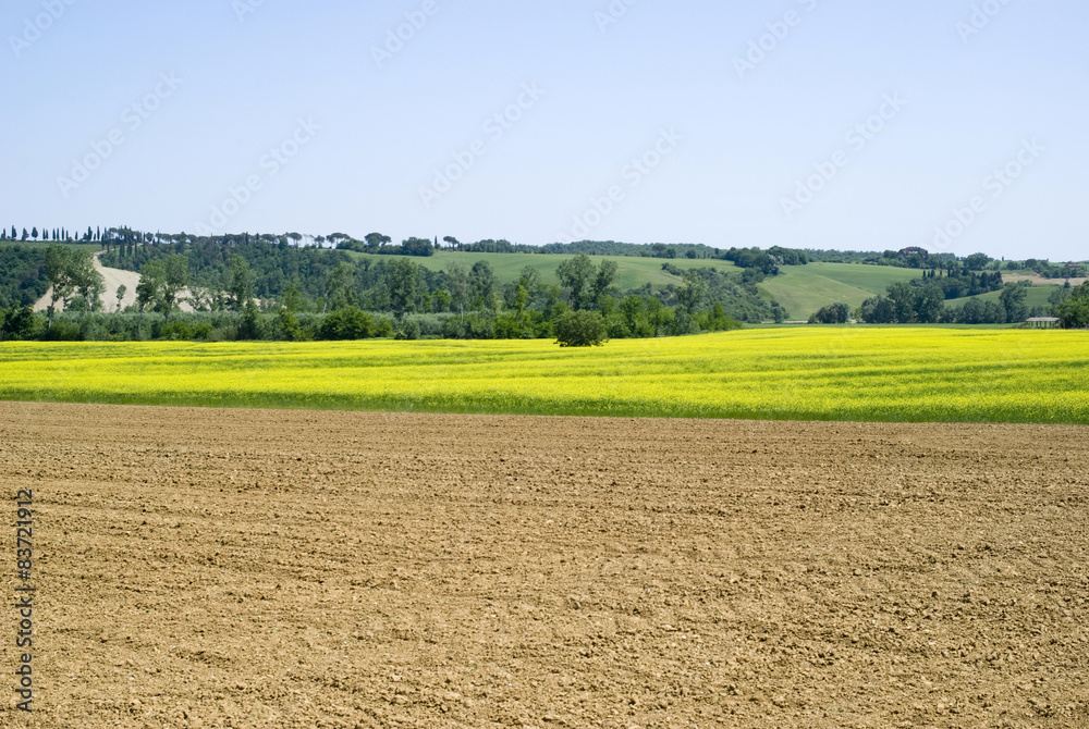 Scenic view on agricultural landscape Scenic view on agricultural landscape