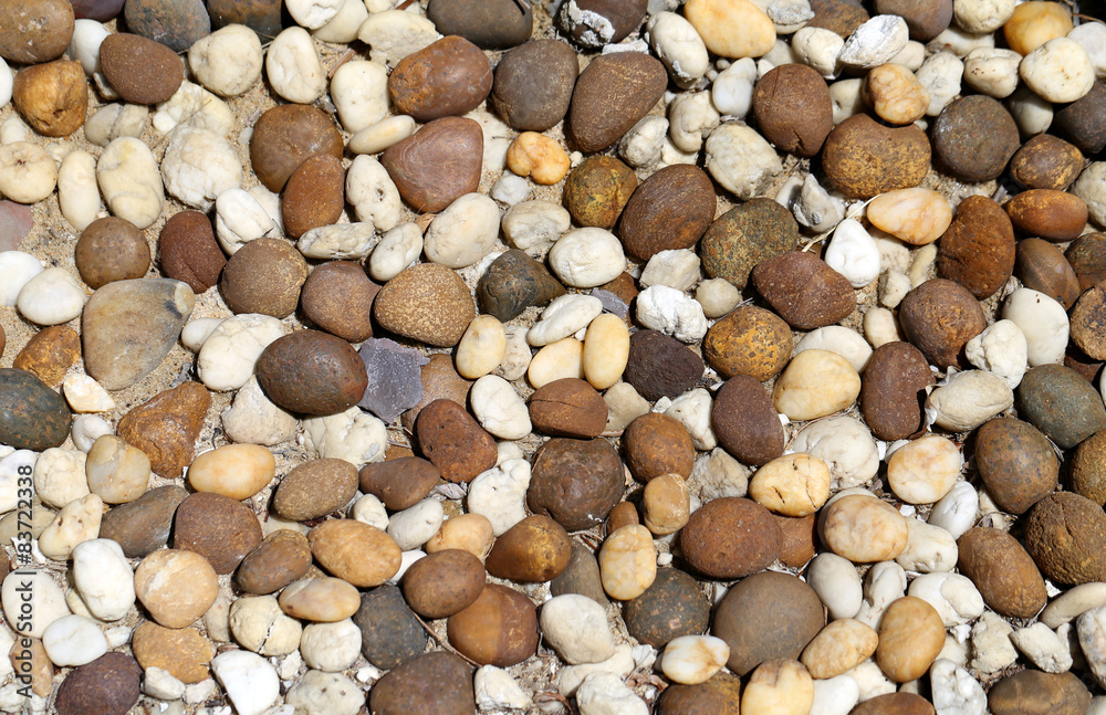 The texture of the pebbles